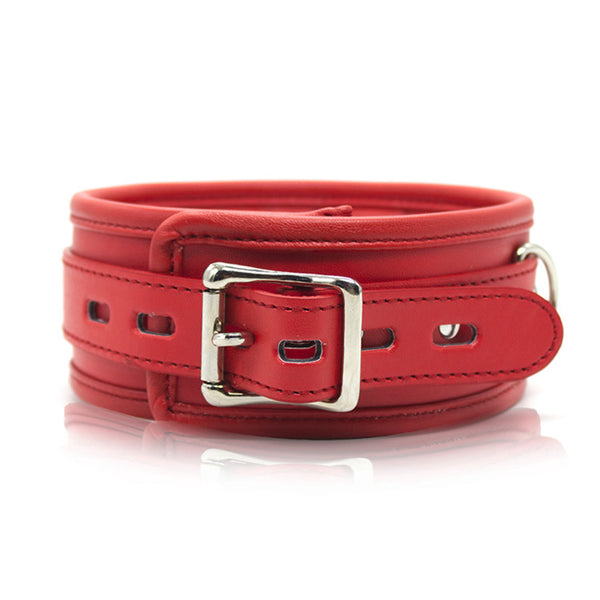 Red Padded Collar With Leash