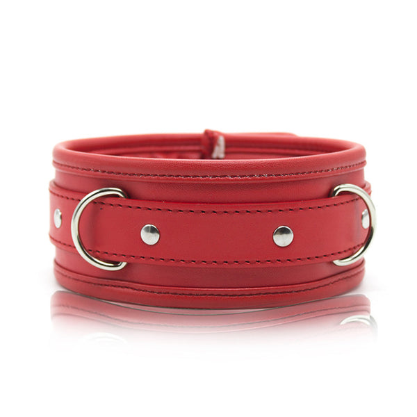 Red Padded Collar With Leash