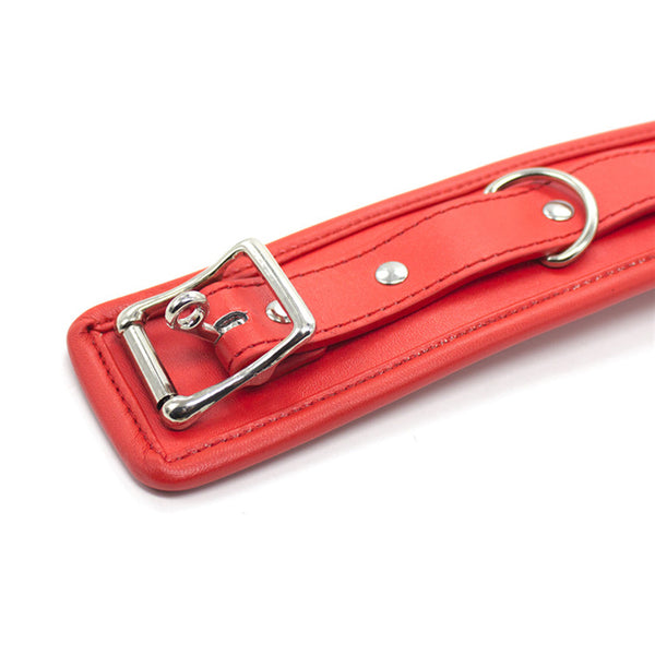 Red Padded Collar With Leash