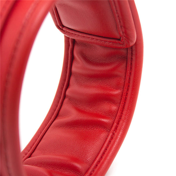 Red Padded Collar With Leash