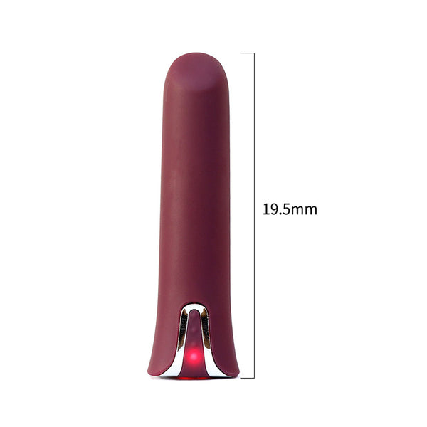 Buzzy Bullet W Attachments
