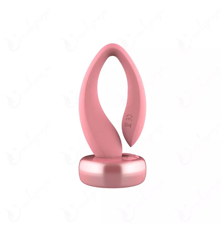 Gogo Couples Toy with Remote