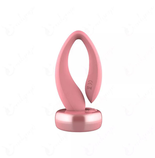 Gogo Couples Toy with Remote