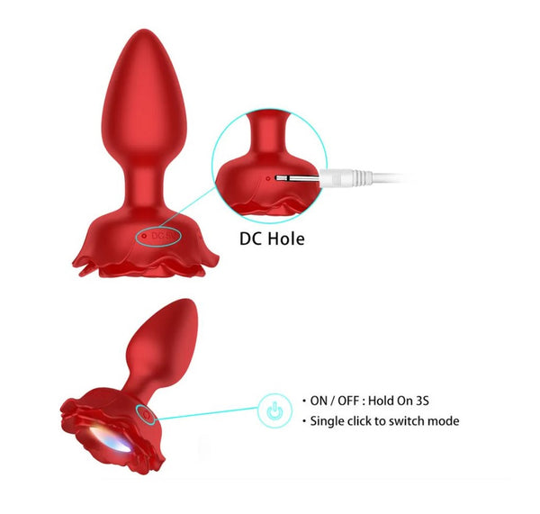 Bloom Rose Plug + Remote