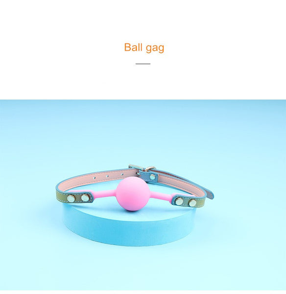 Rainbow Bridge Bondage Kit